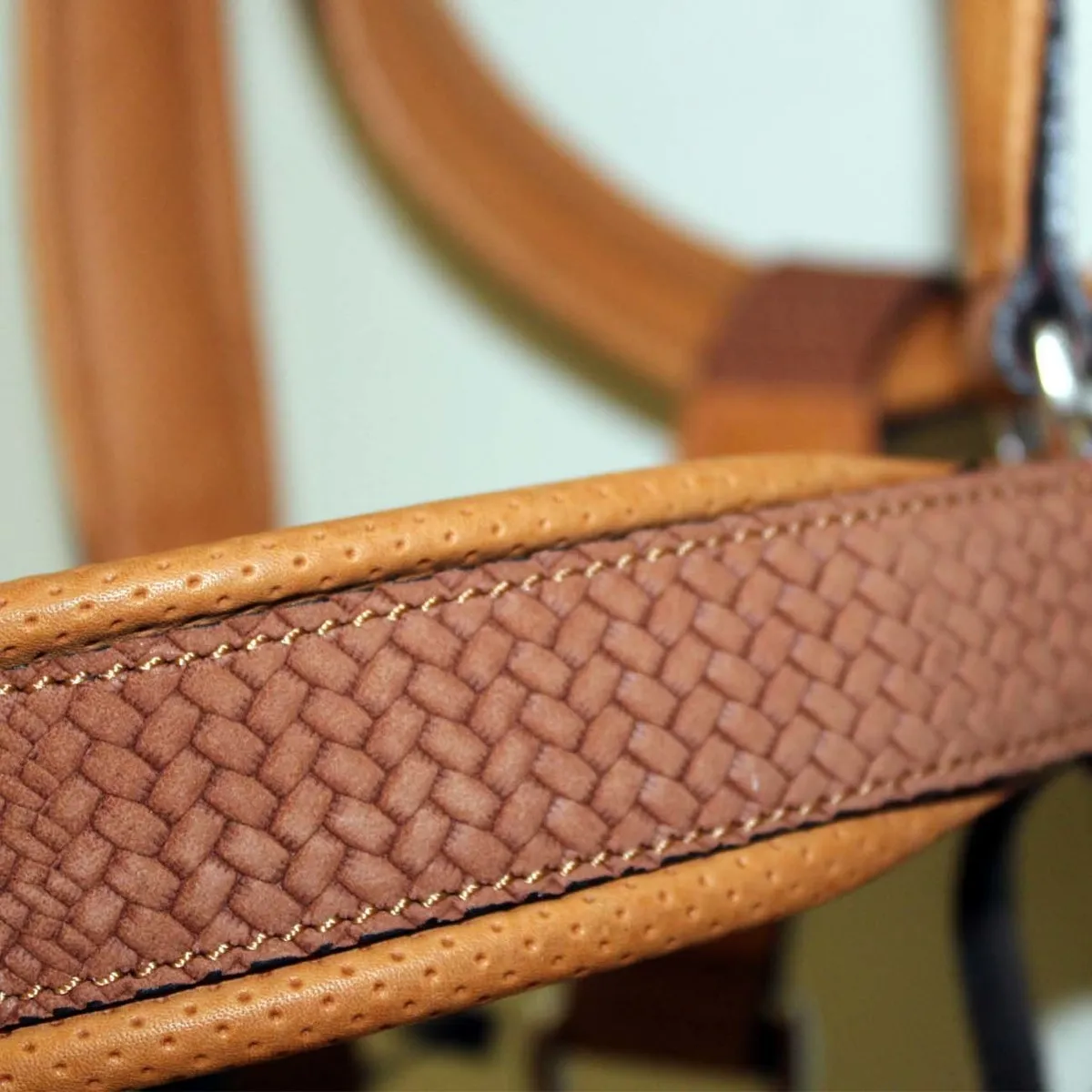 LEATHER HEAD COLLAR WITH NYLON LUNGE LINE 